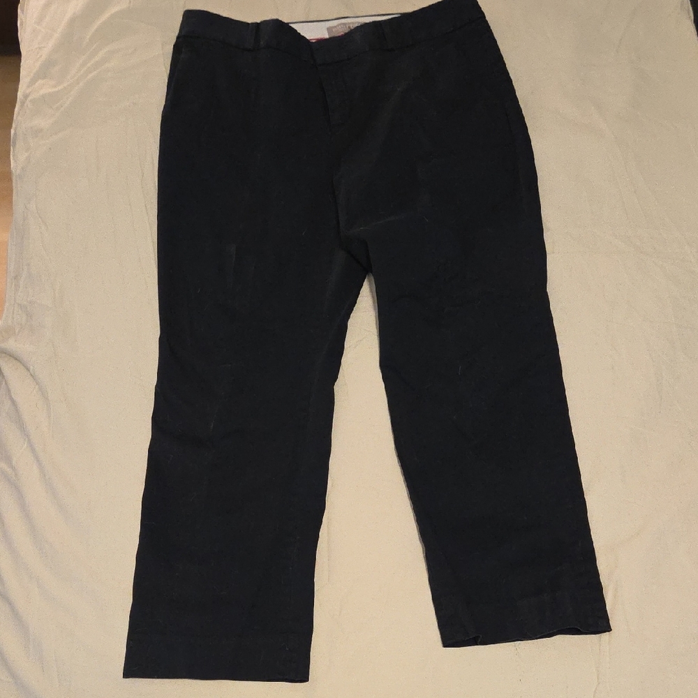 Women's Banana Republic Hampton Pants